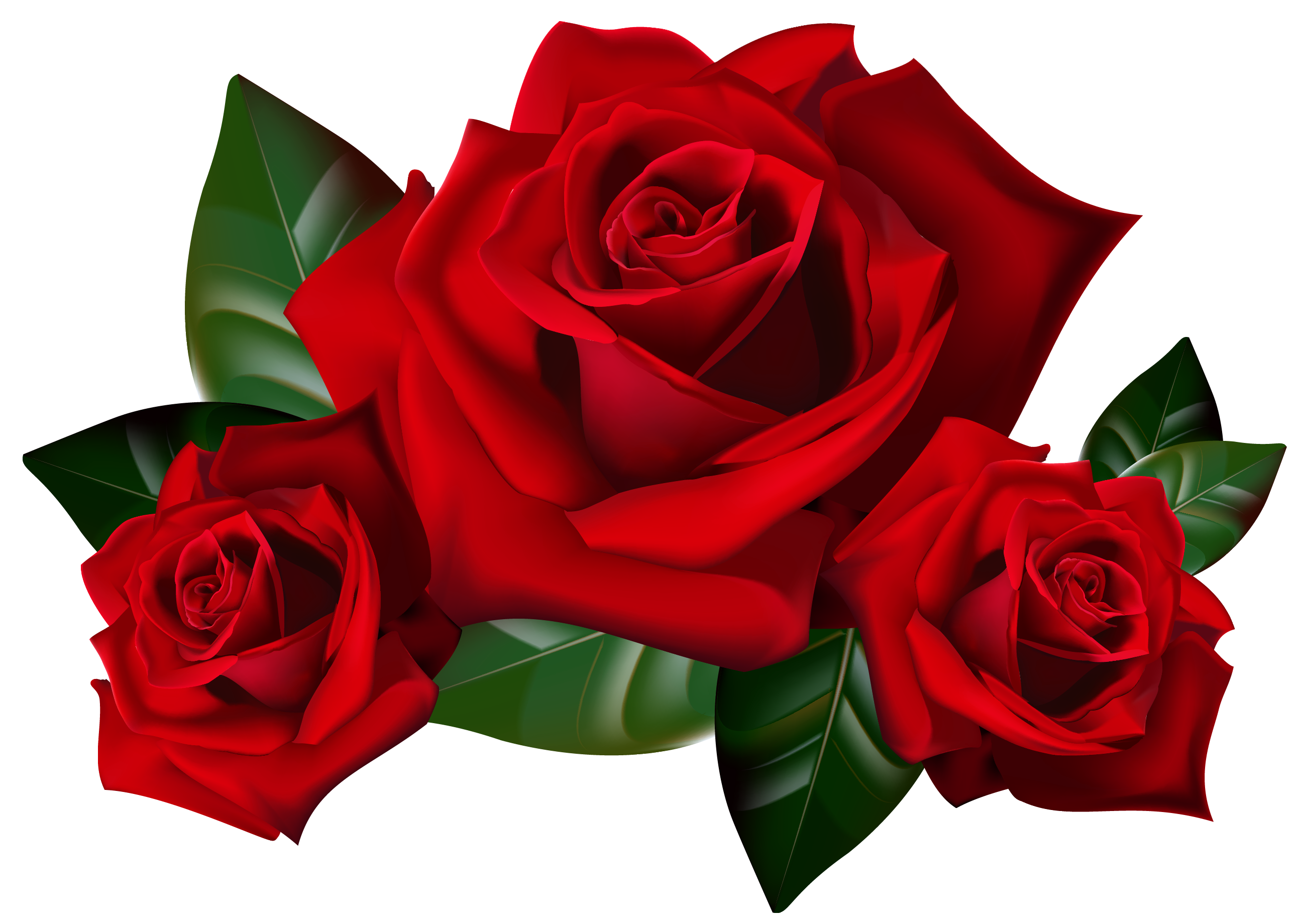 clipart images rose