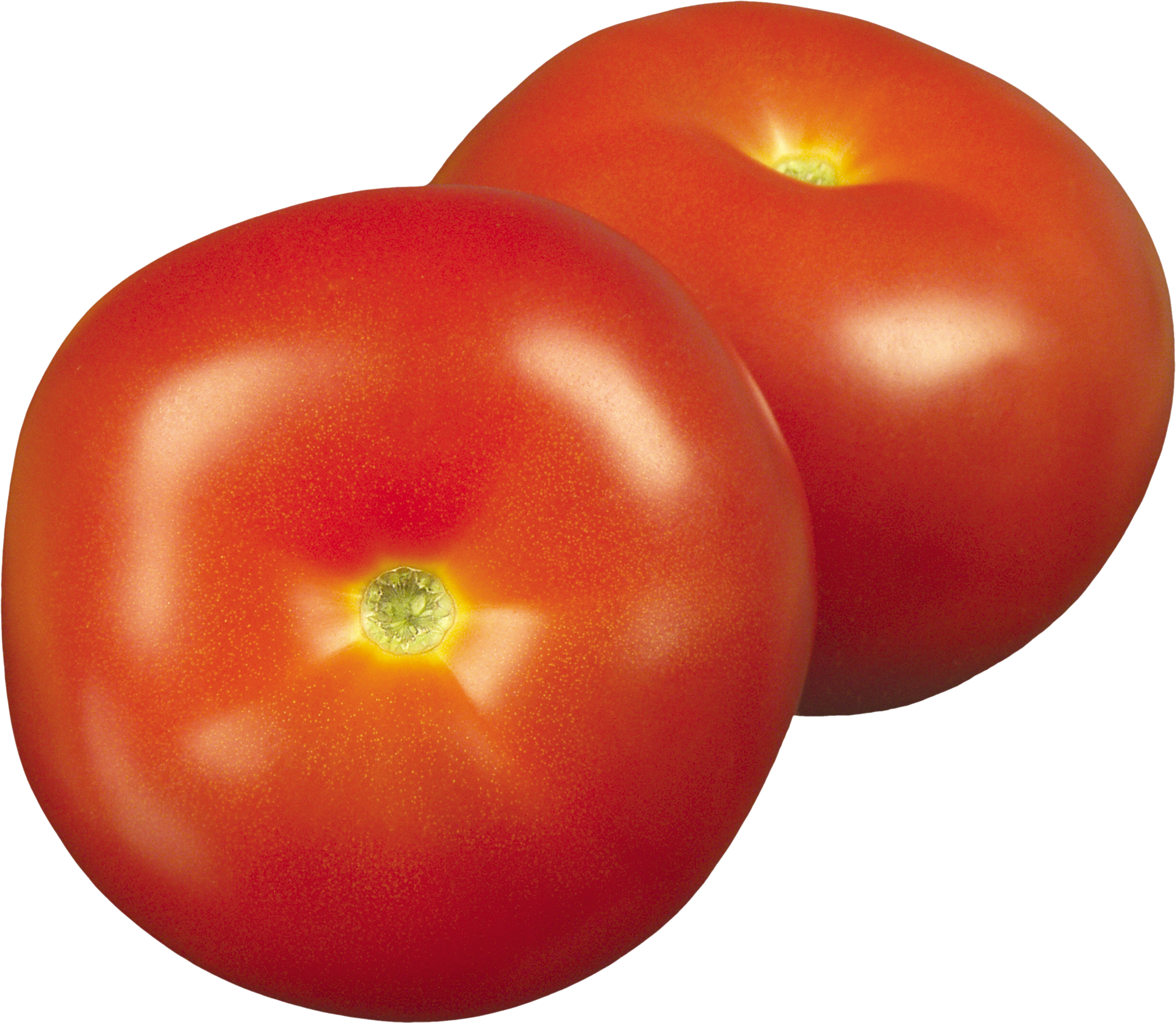 Tomatoes clip art free. Clipart png tomato
