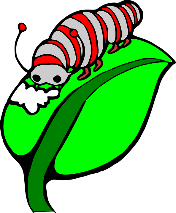 clipart library bookworm