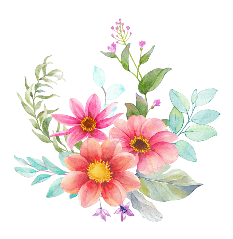 succulent clipart water paint