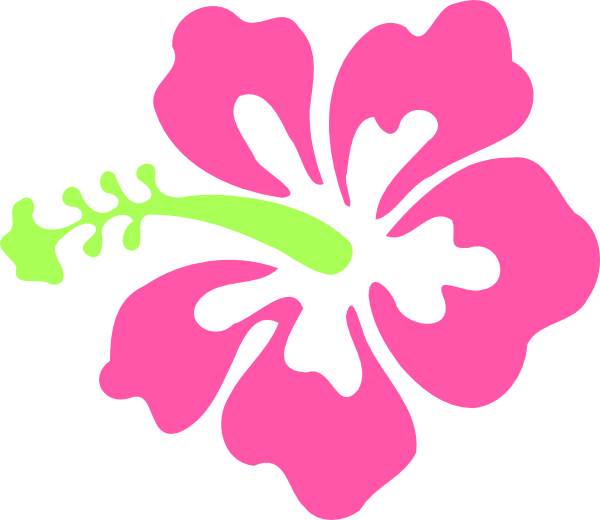 Hibiscus clipart real. Pink flower 