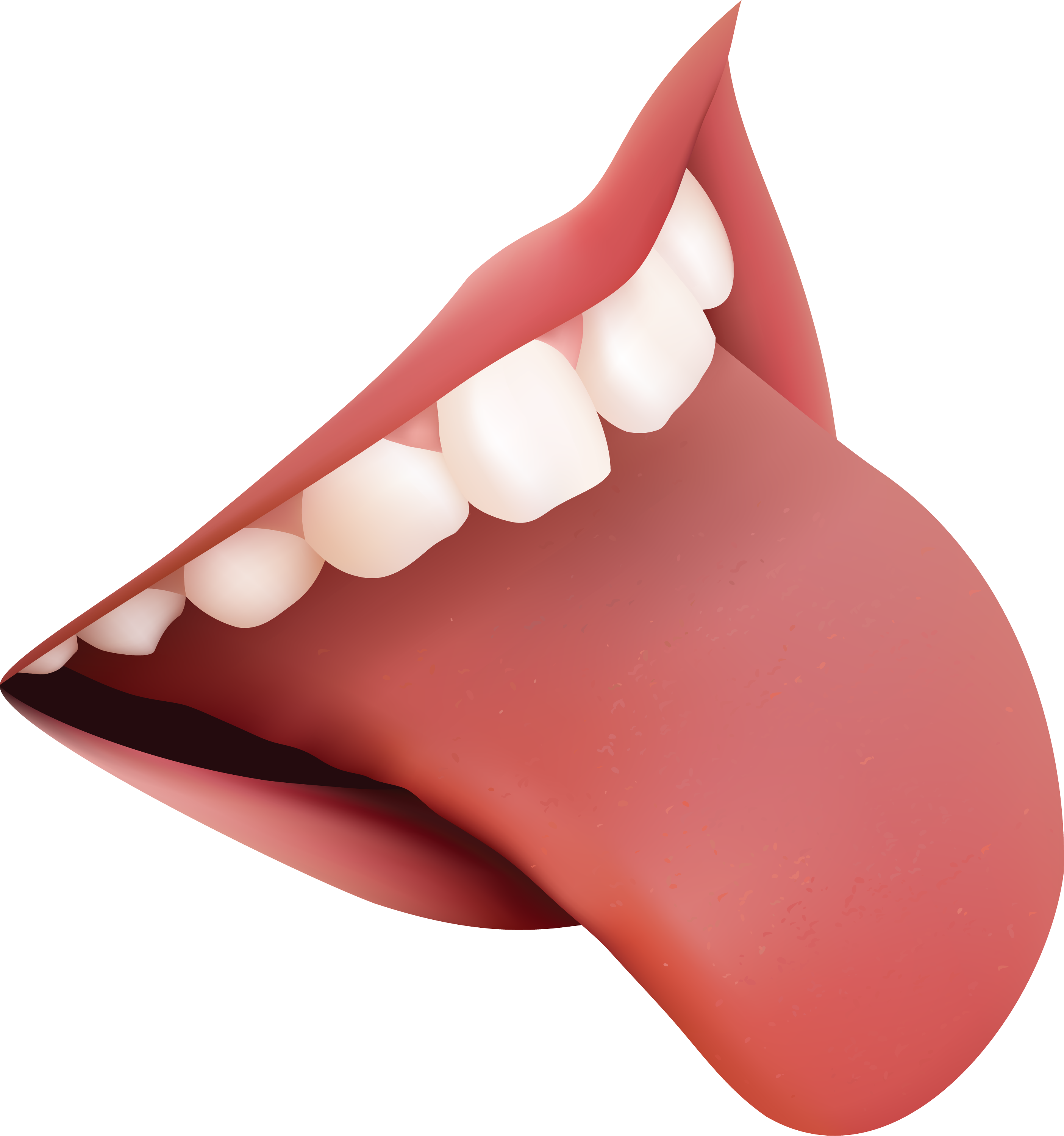Clipart mouth digestive system mouth.  collection of tongue