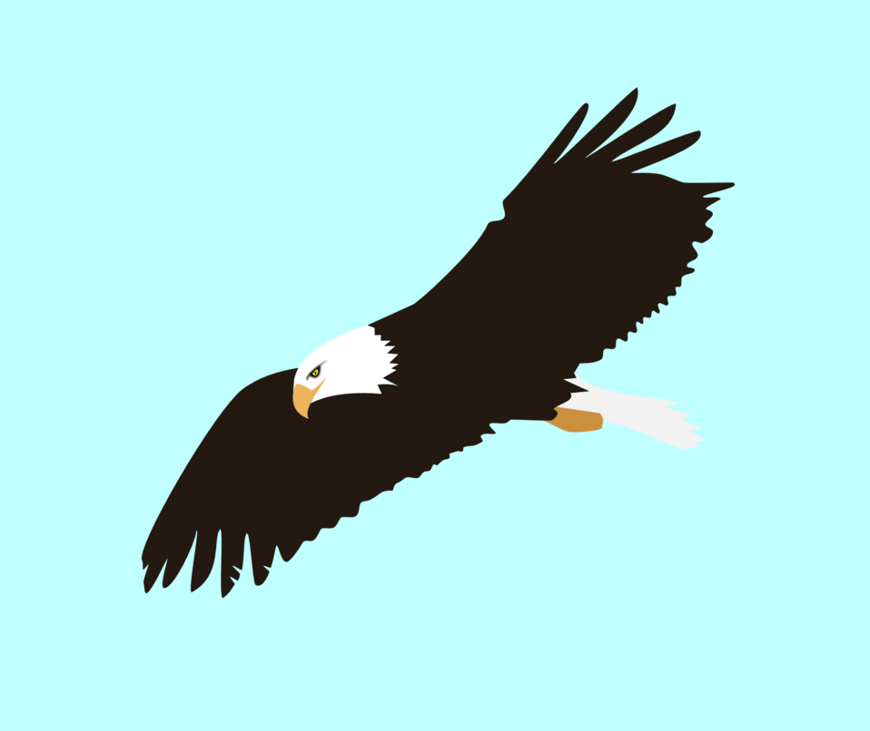 Eagle clipart artwork. Public domain clip art