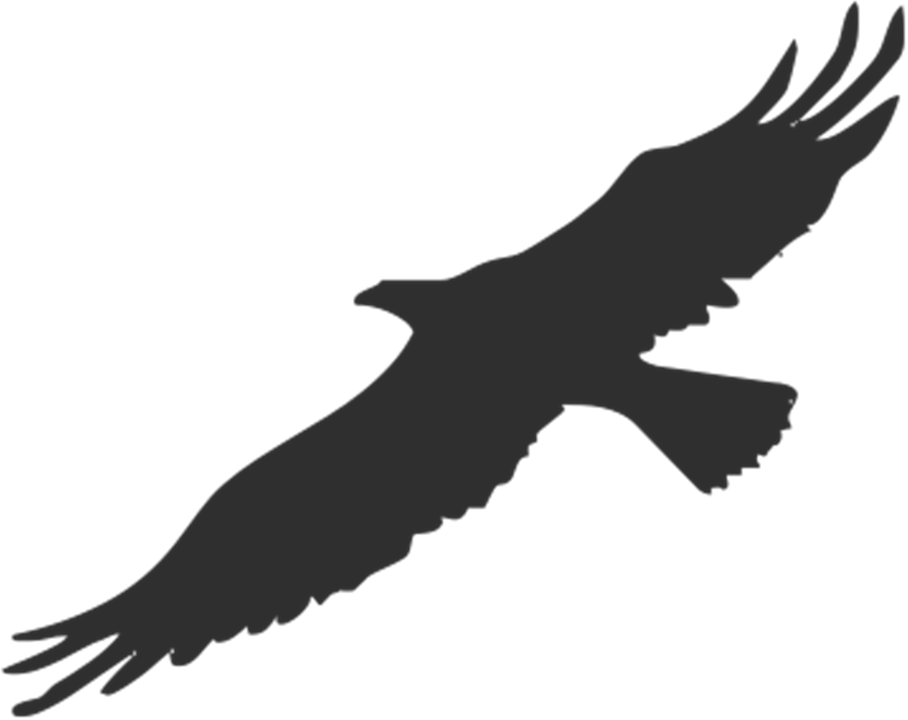 Black transparent background pencil. Eagle clipart illustration