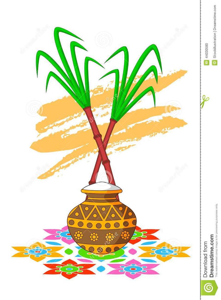 Clipart kite pongal. Download sugar cane thai