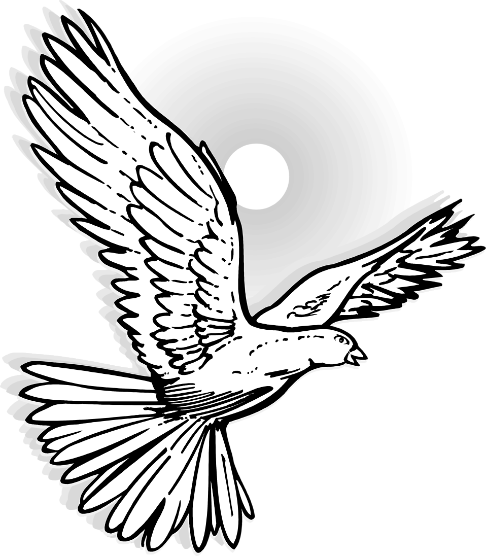 faith clipart dove