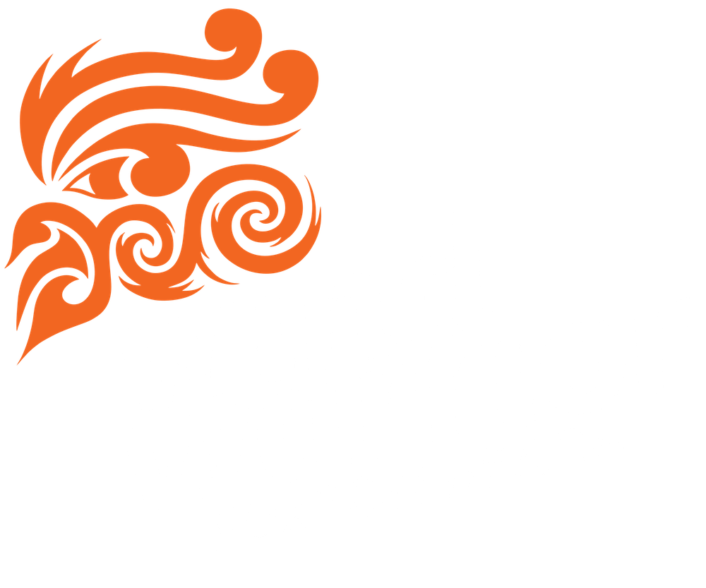 Windwarrior kitesurf kitesports and. Windy clipart kite