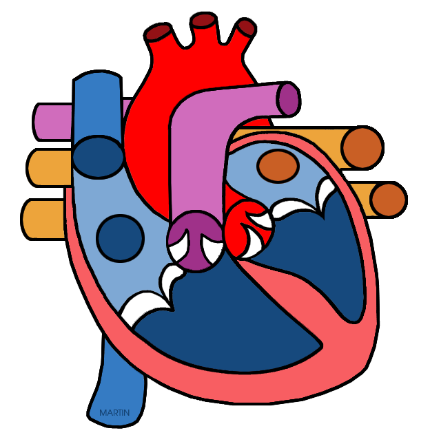 Clip art by phillip. Clipart heart science