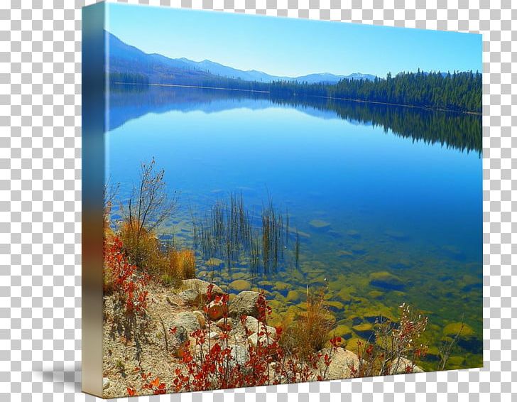 Water resources painting png. Clipart lake ecosystem