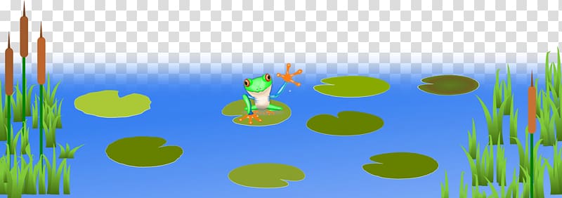 Amphibian big frogs transparent. Clipart lake frog pond