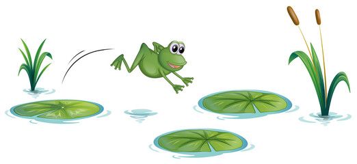 clipart lake frog pond