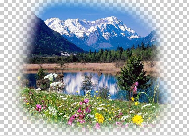 Clipart lake mountain wallpaper. Saint mary desktop tatra