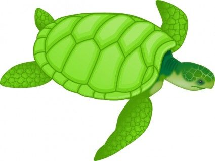 Seahorse free vector clip. Clipart turtle sea life