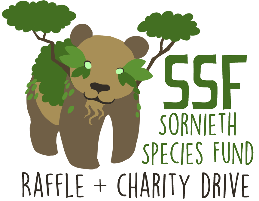 Ssf charity raffles drawing. Ticket clipart meat raffle