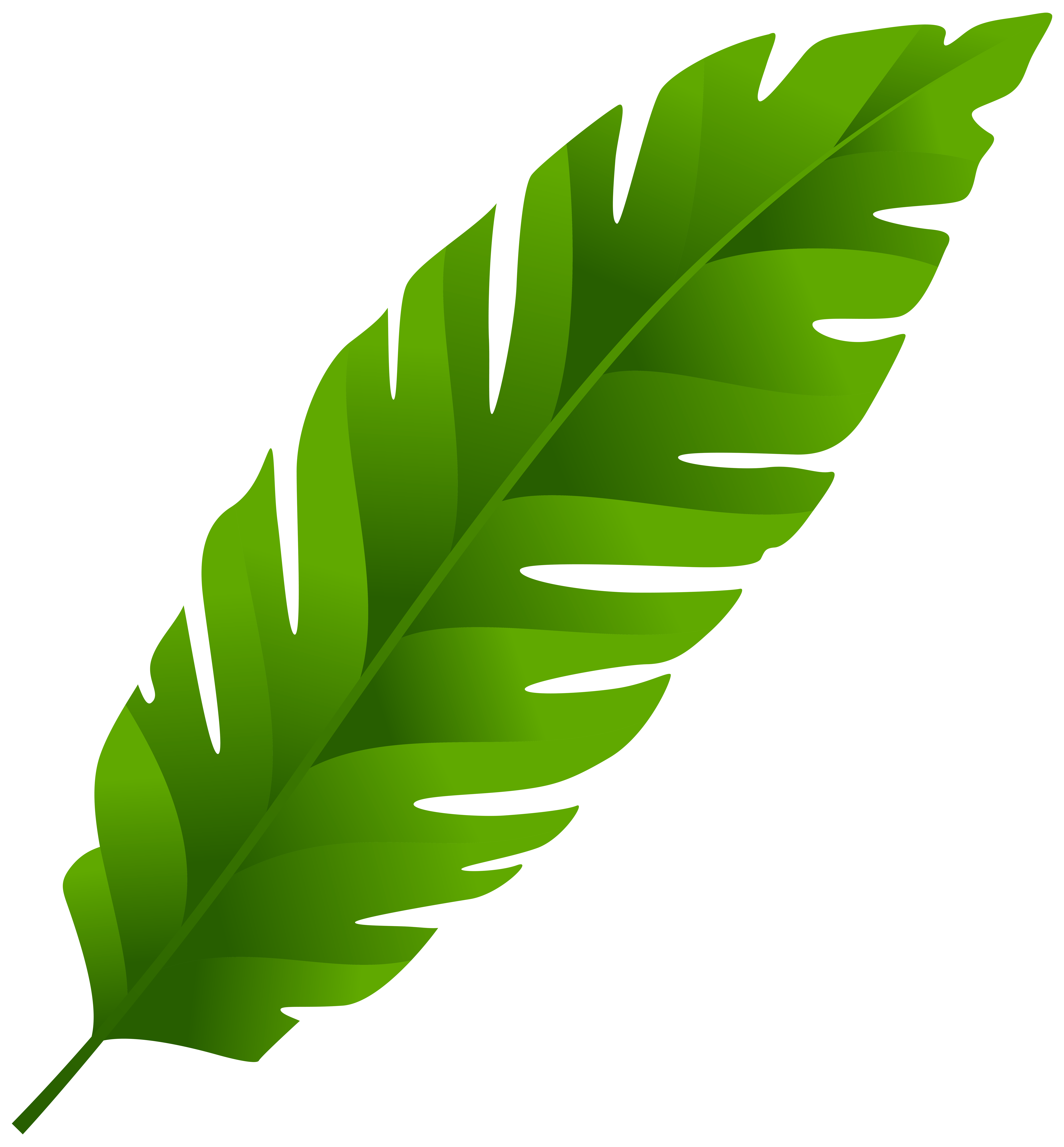 Palm clipart used. Green leaf png clip