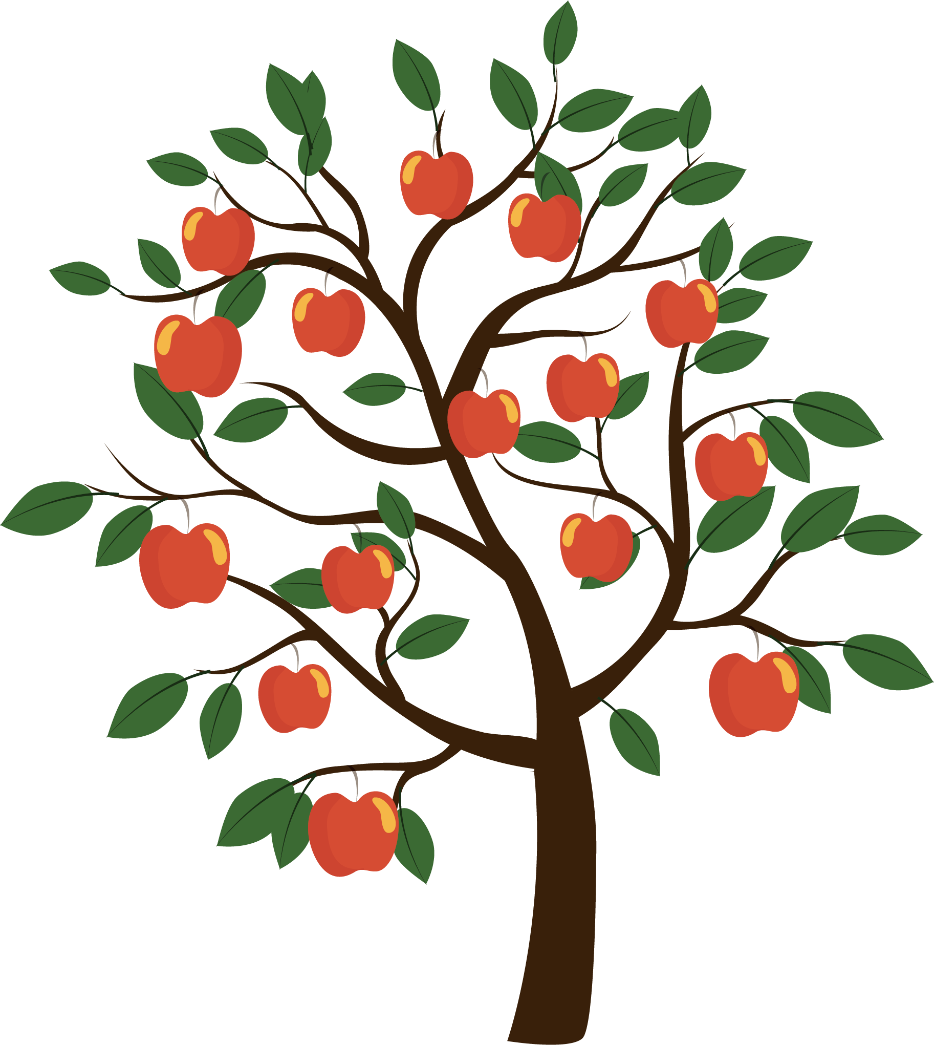 Fruit euclidean vector transprent. Leaf clipart apple tree