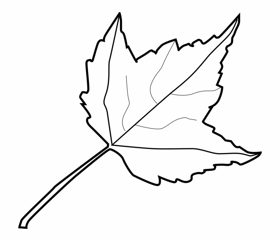 Png library stock free. Clipart leaf black and white