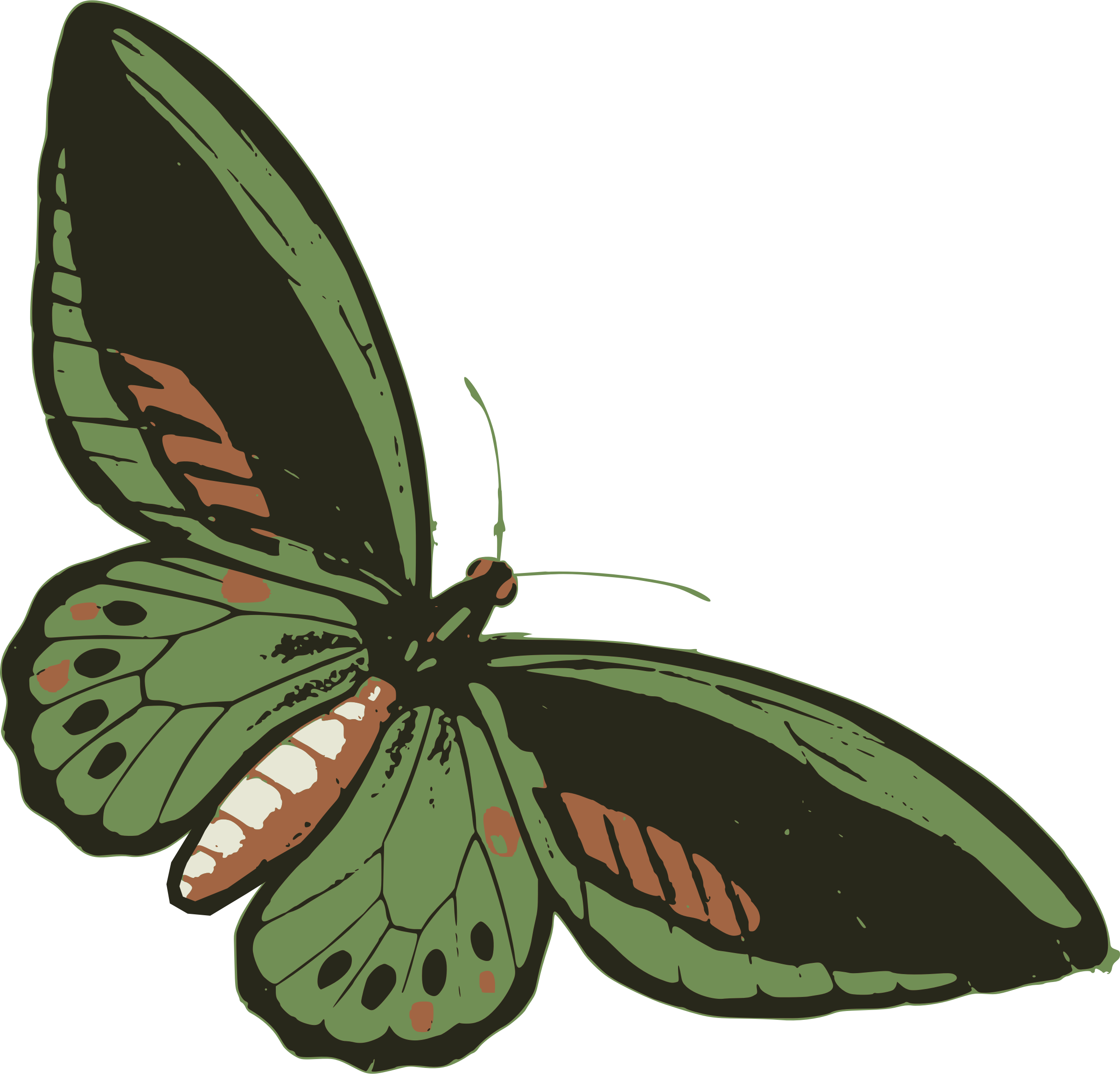 clipart leaf butterfly