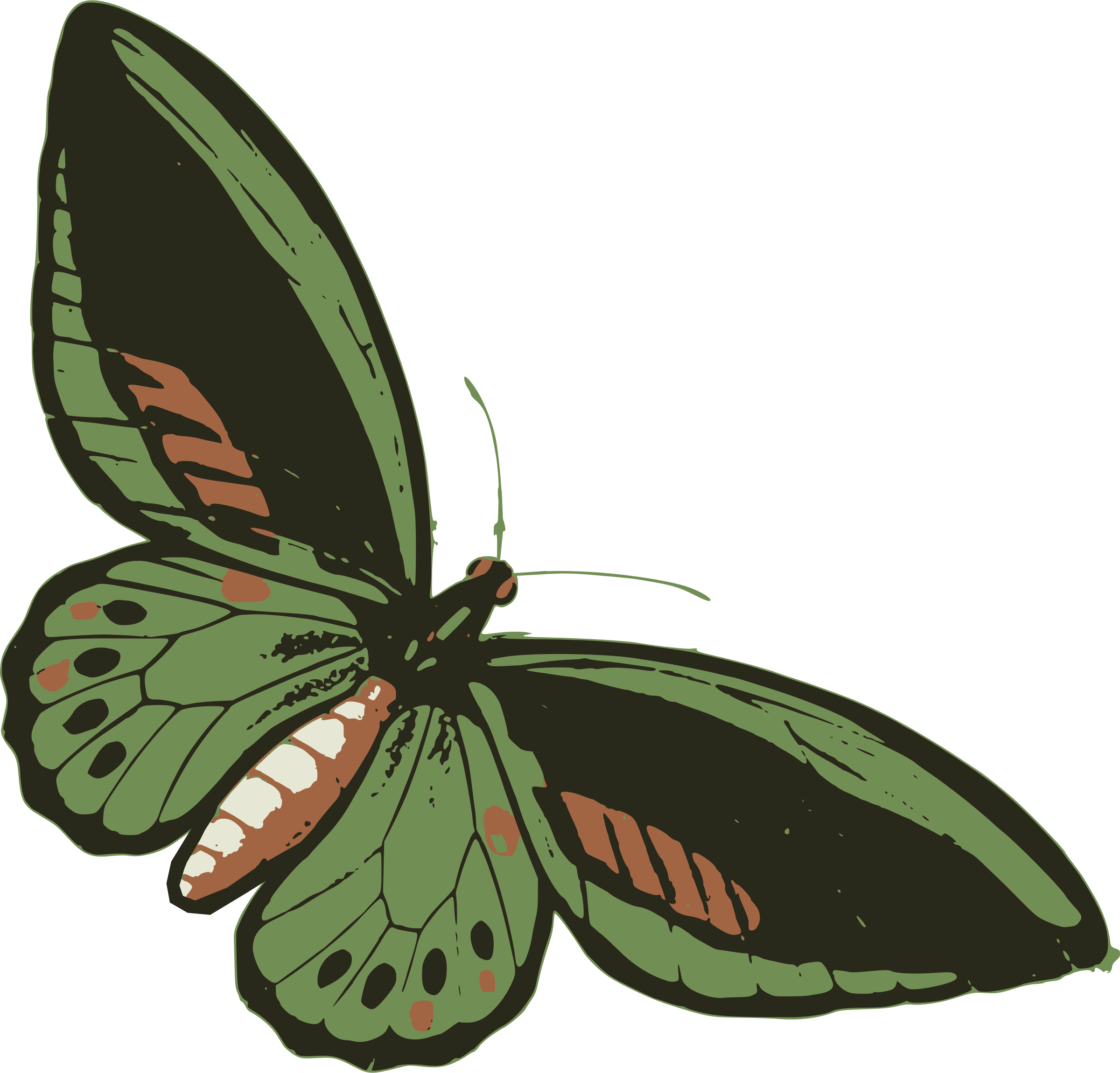 Green big image png. Clipart leaf butterfly