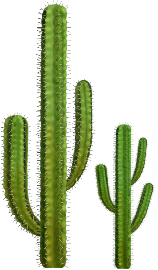 leaf clipart cactus