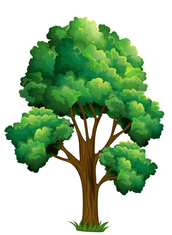 Woodland clipart tree growth.  png pinterest clip
