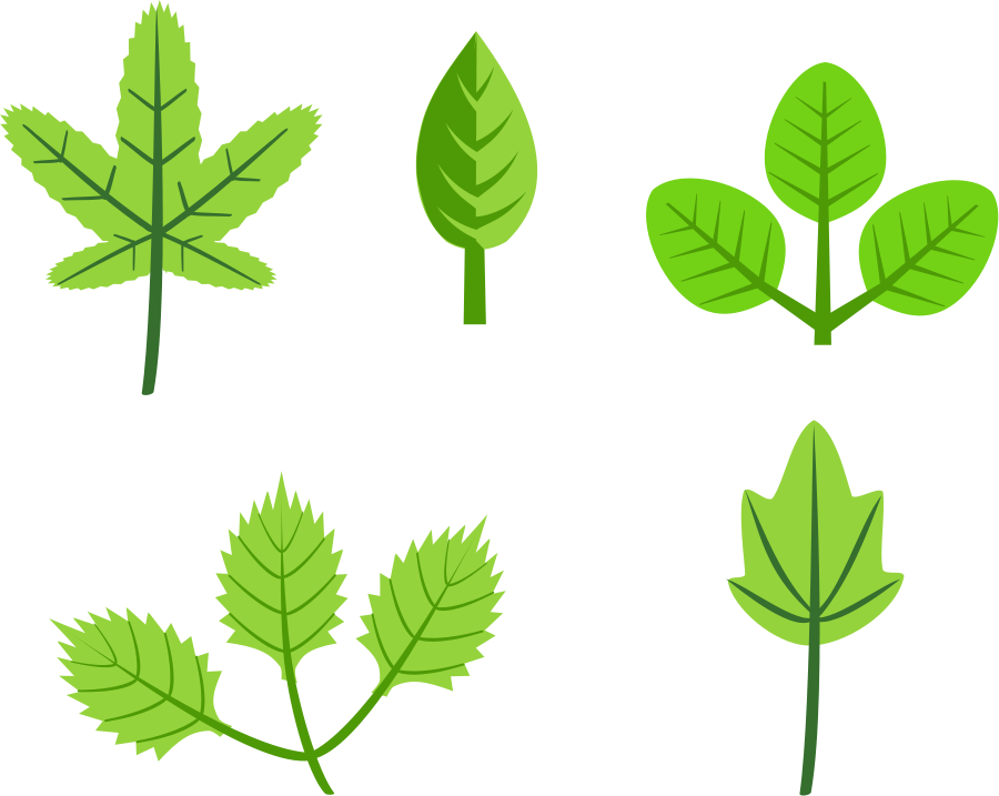clipart leaf cartoon