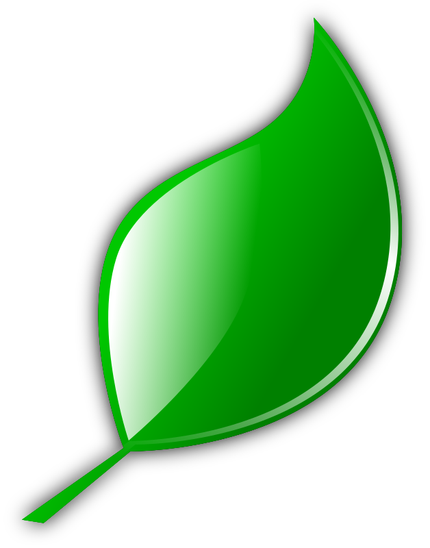 Leaf cartoon