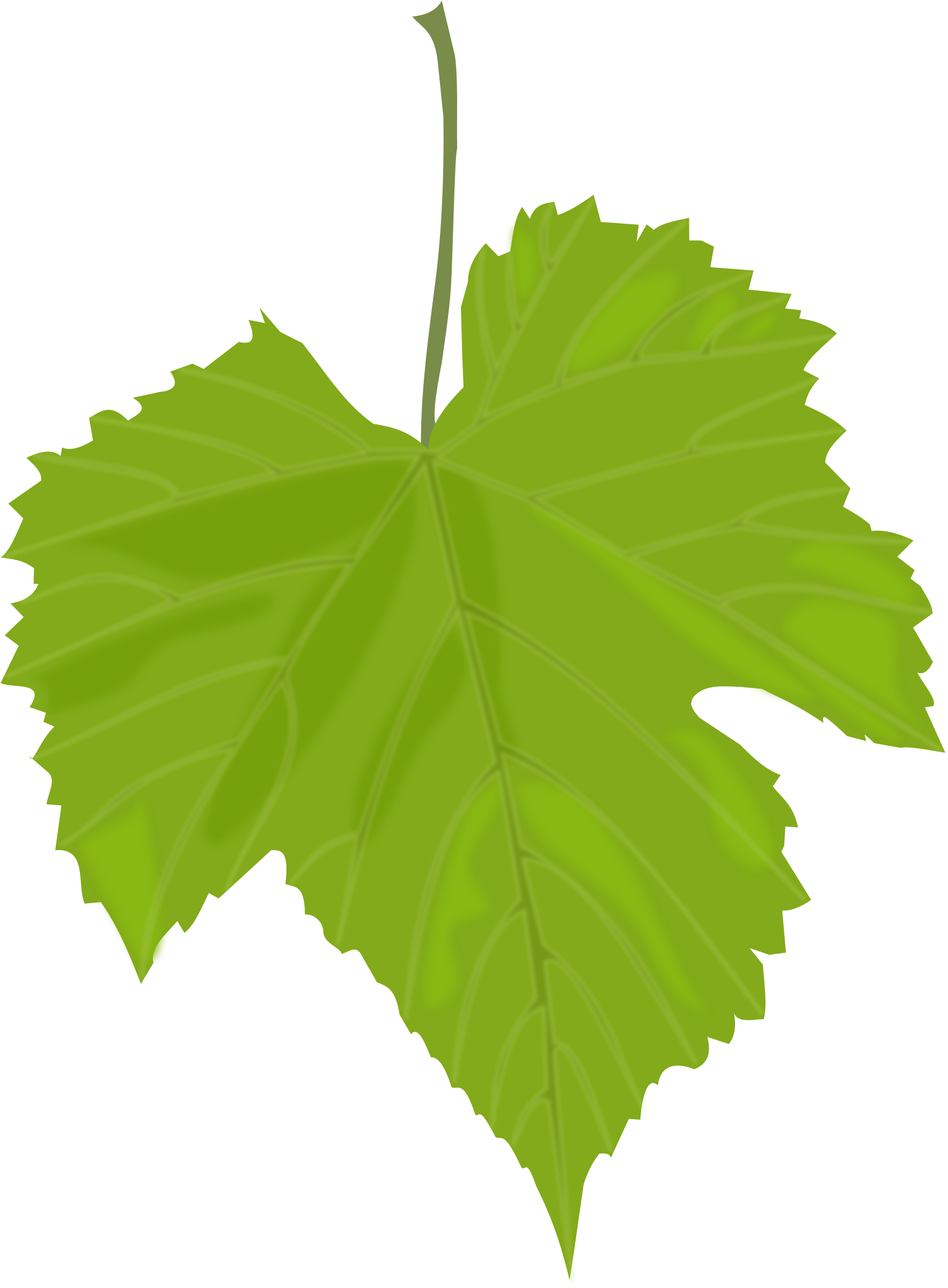 clipart leaf cartoon