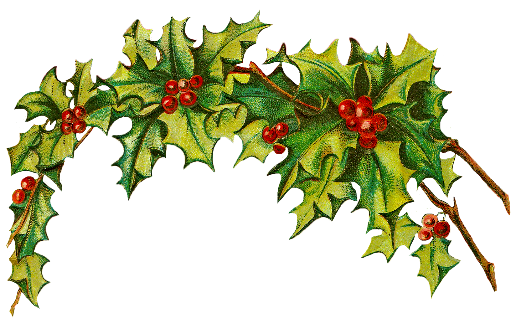 clipart leaf christmas