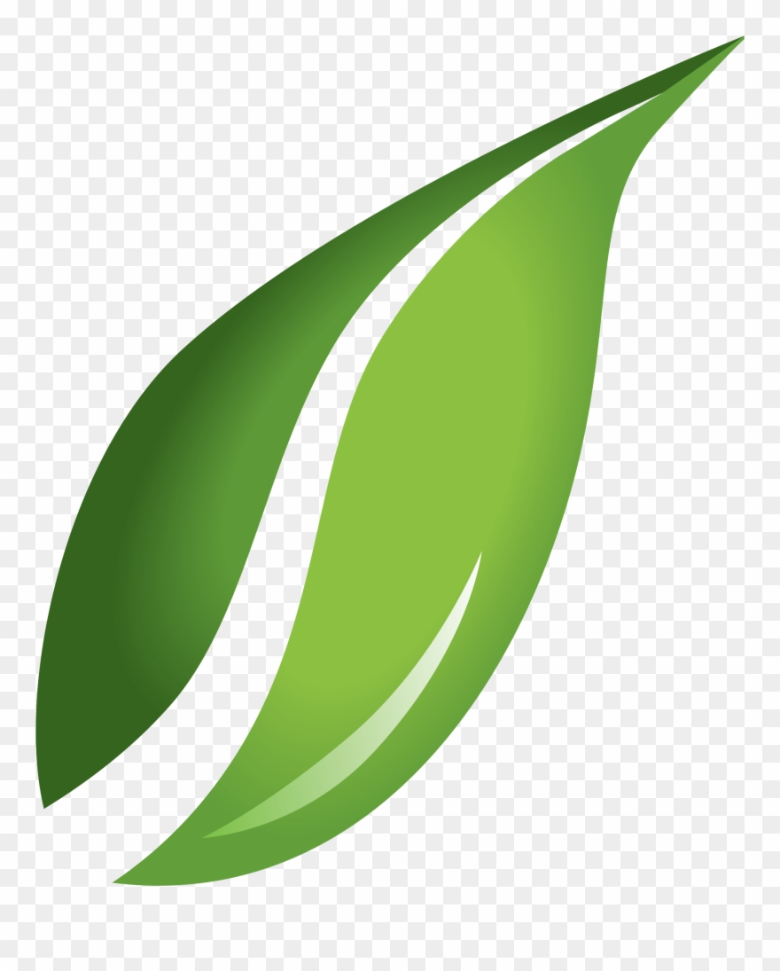 leaf clipart logo