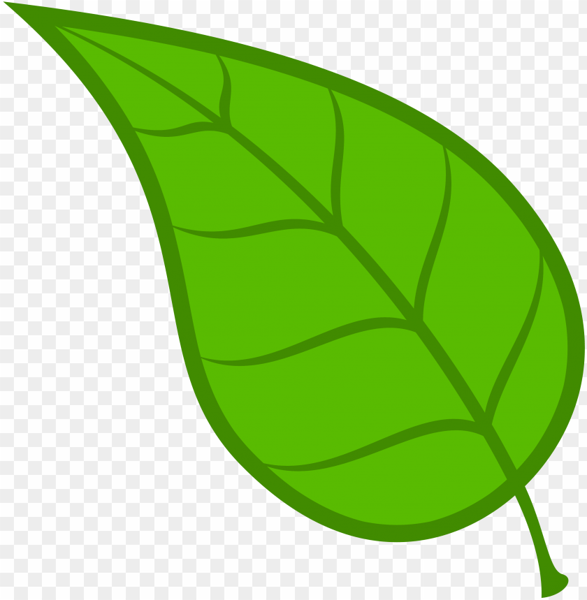 clipart leaves clear background