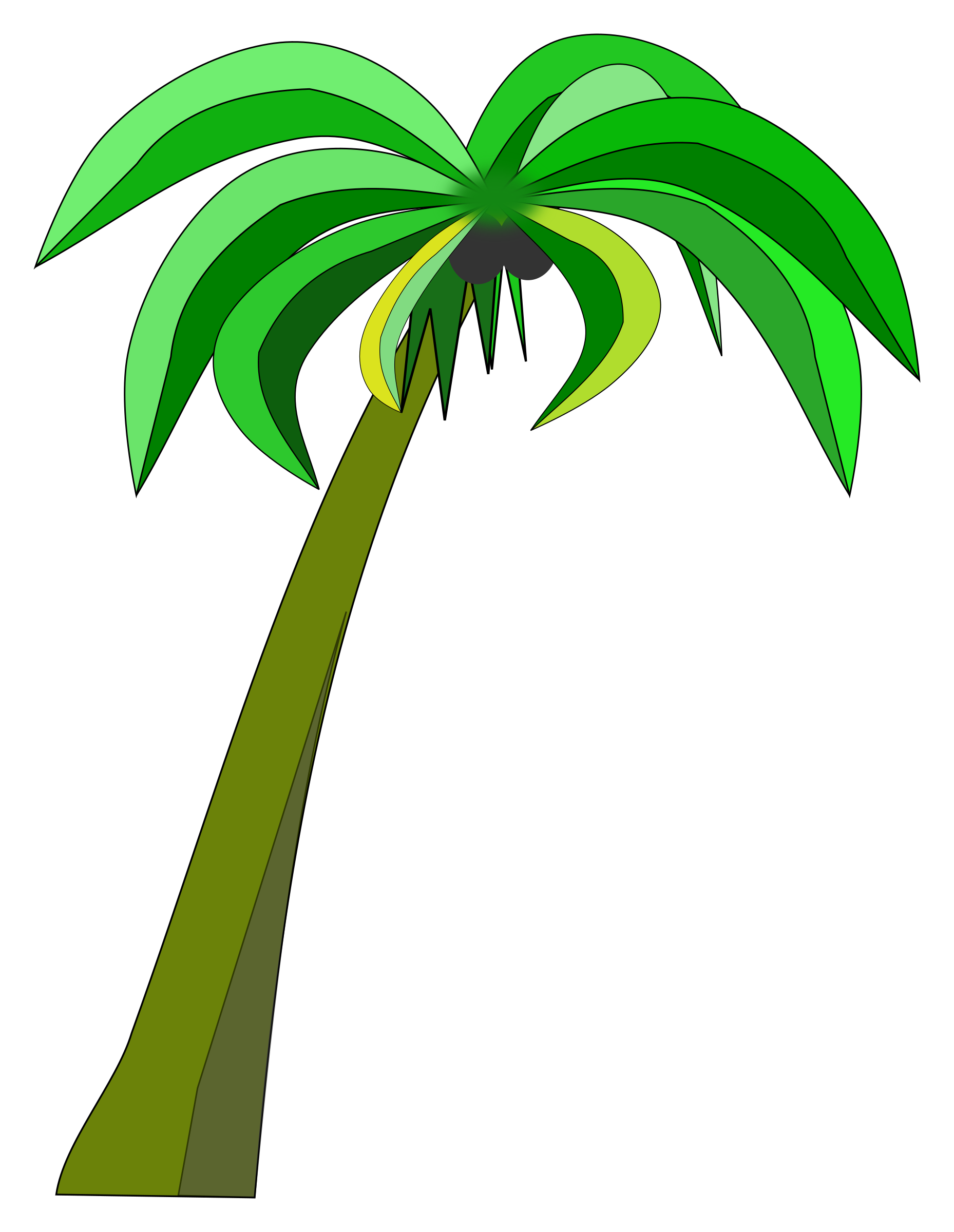 Free clipart banner. Palm or coconut tree