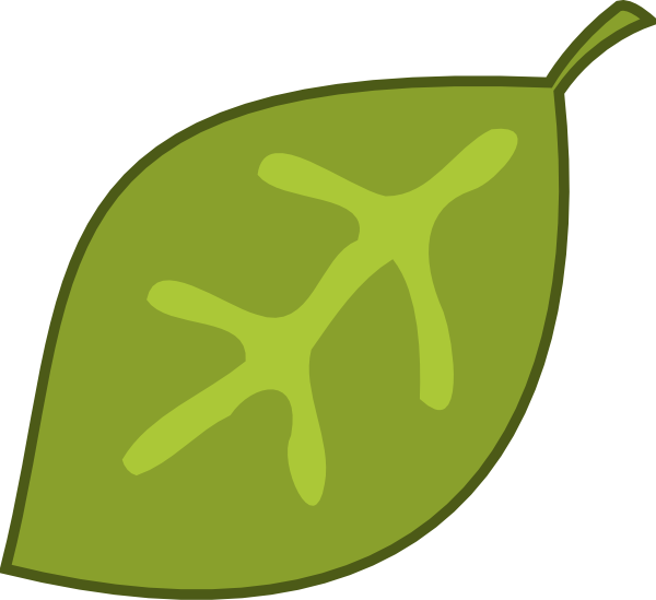 clipart leaf cute