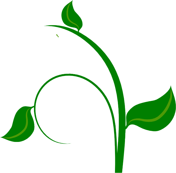 clipart leaf daun