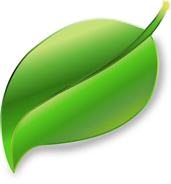 Leaf clipart daun, Leaf daun Transparent FREE for download ...
