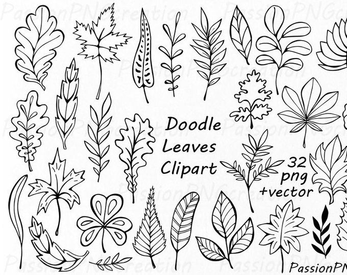 Hand drawn herbs leaves. Clipart leaf doodle