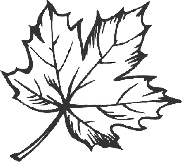 clipart leaf doodle