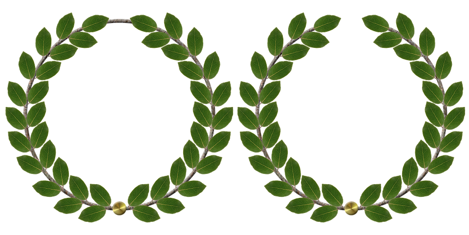 clipart leaf easy