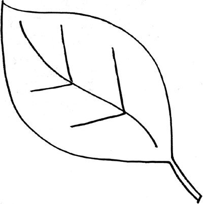 Clipart leaf easy. Makers and shakers how