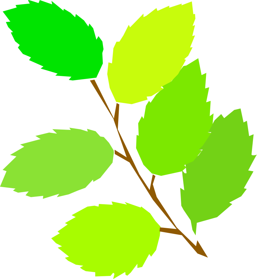Clipart leaf file. Simple spring new leaves
