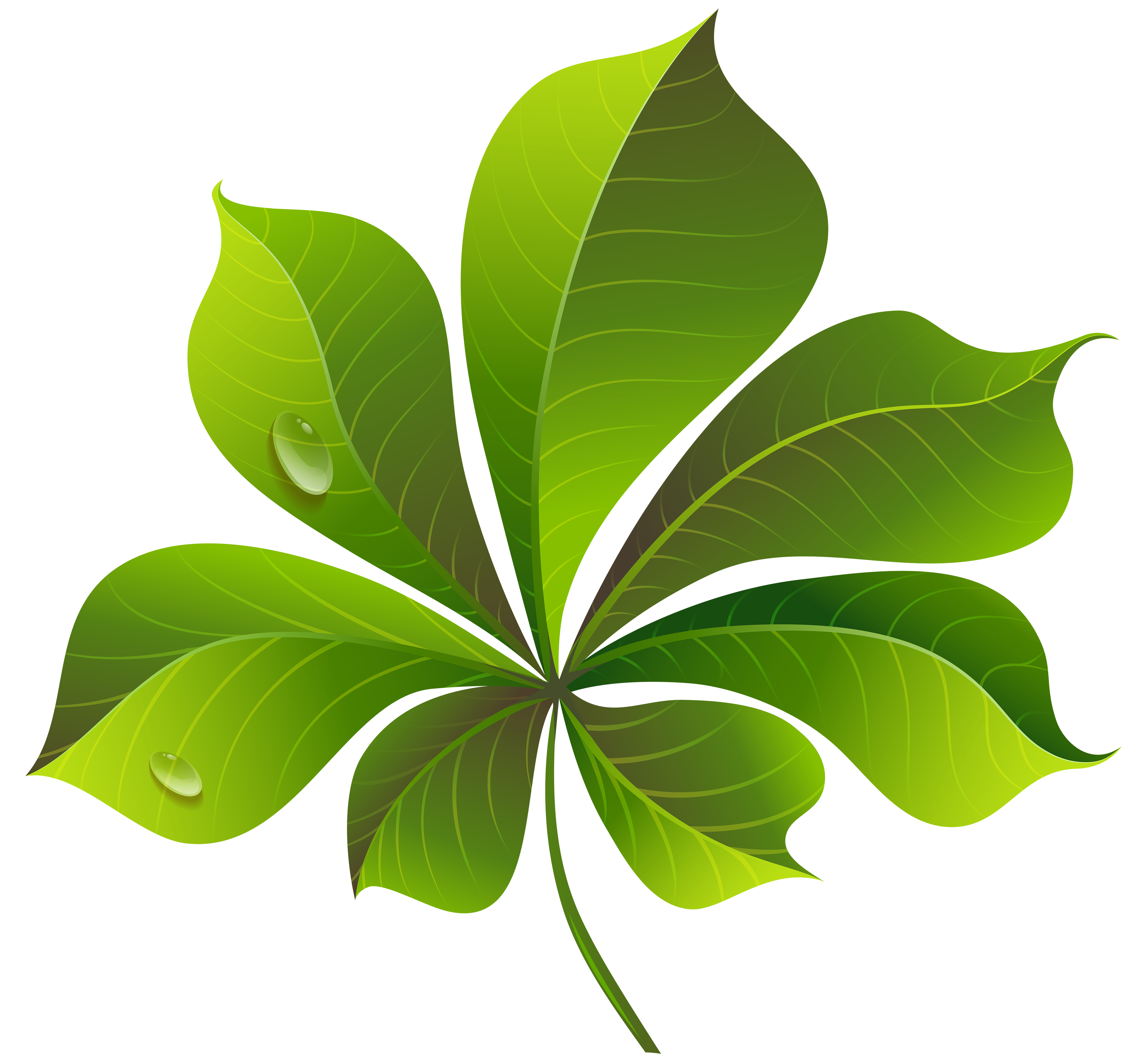 clipart leaves green