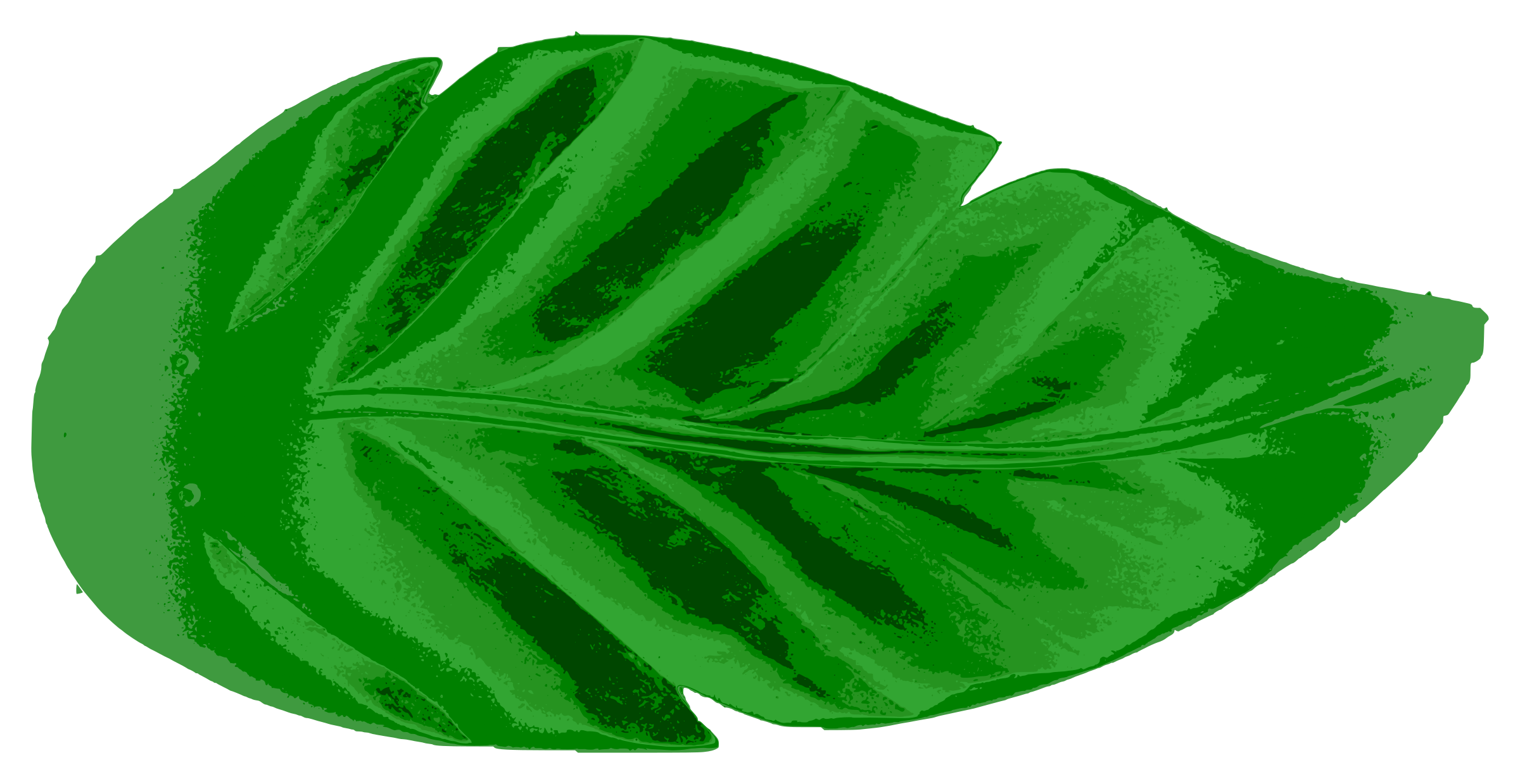 Download Clipart leaves large leave, Clipart leaves large leave Transparent FREE for download on ...