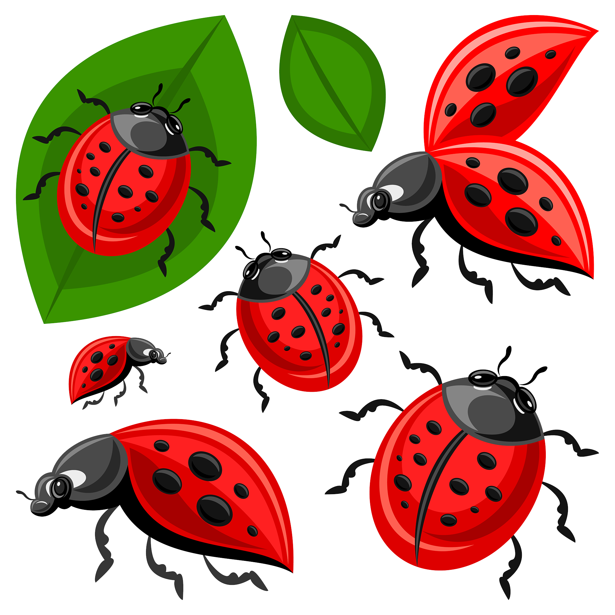 ladybugs clipart watercolor