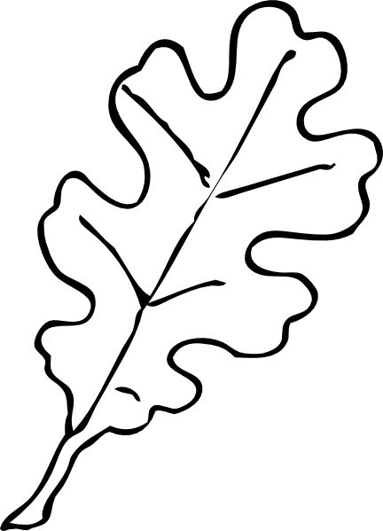 clipart leaf leaf pattern