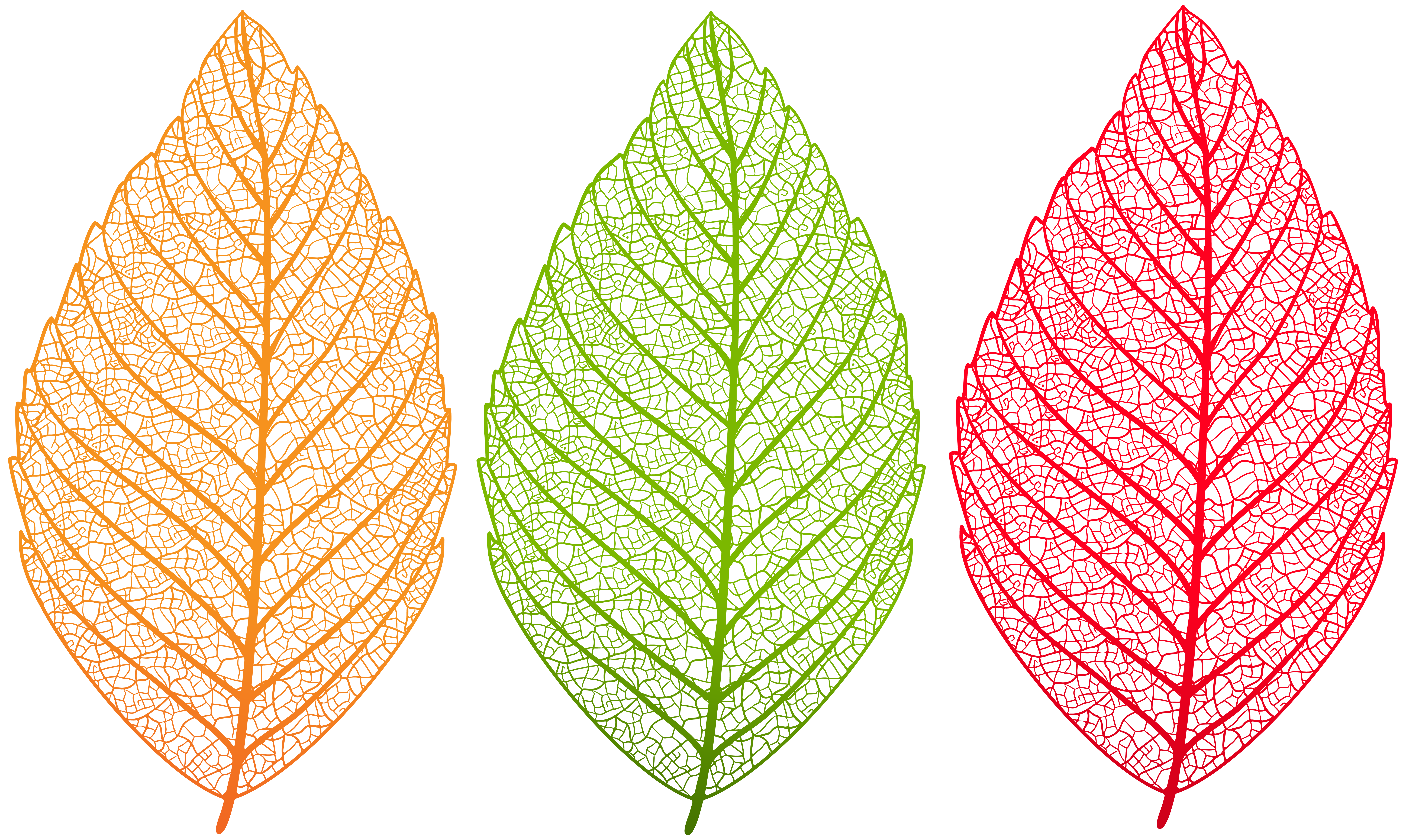 clipart leaves leaf pattern
