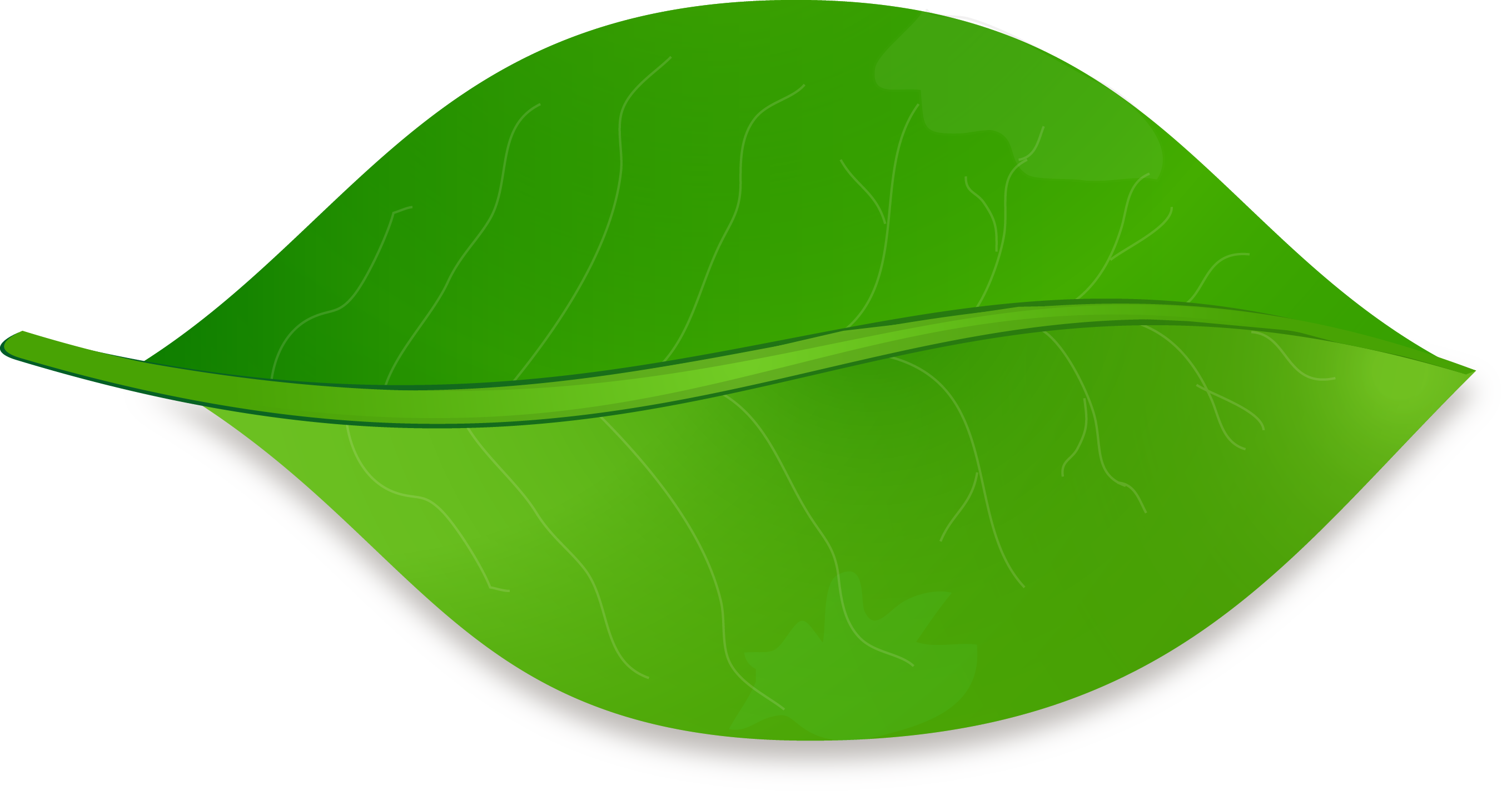 clipart leaf leaf shape