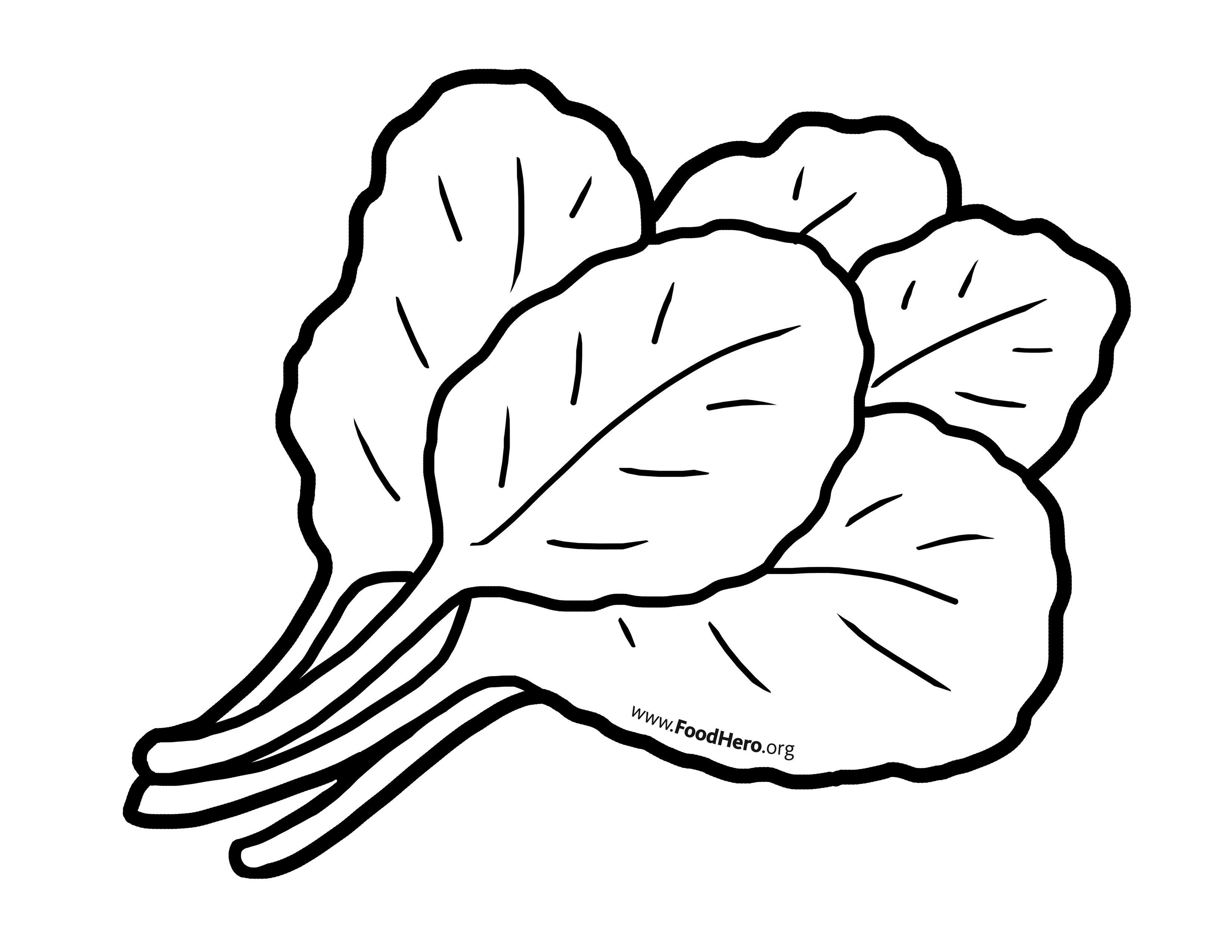 Lettuce clipart dark green vegetable. Chollard greens illustration foodhero