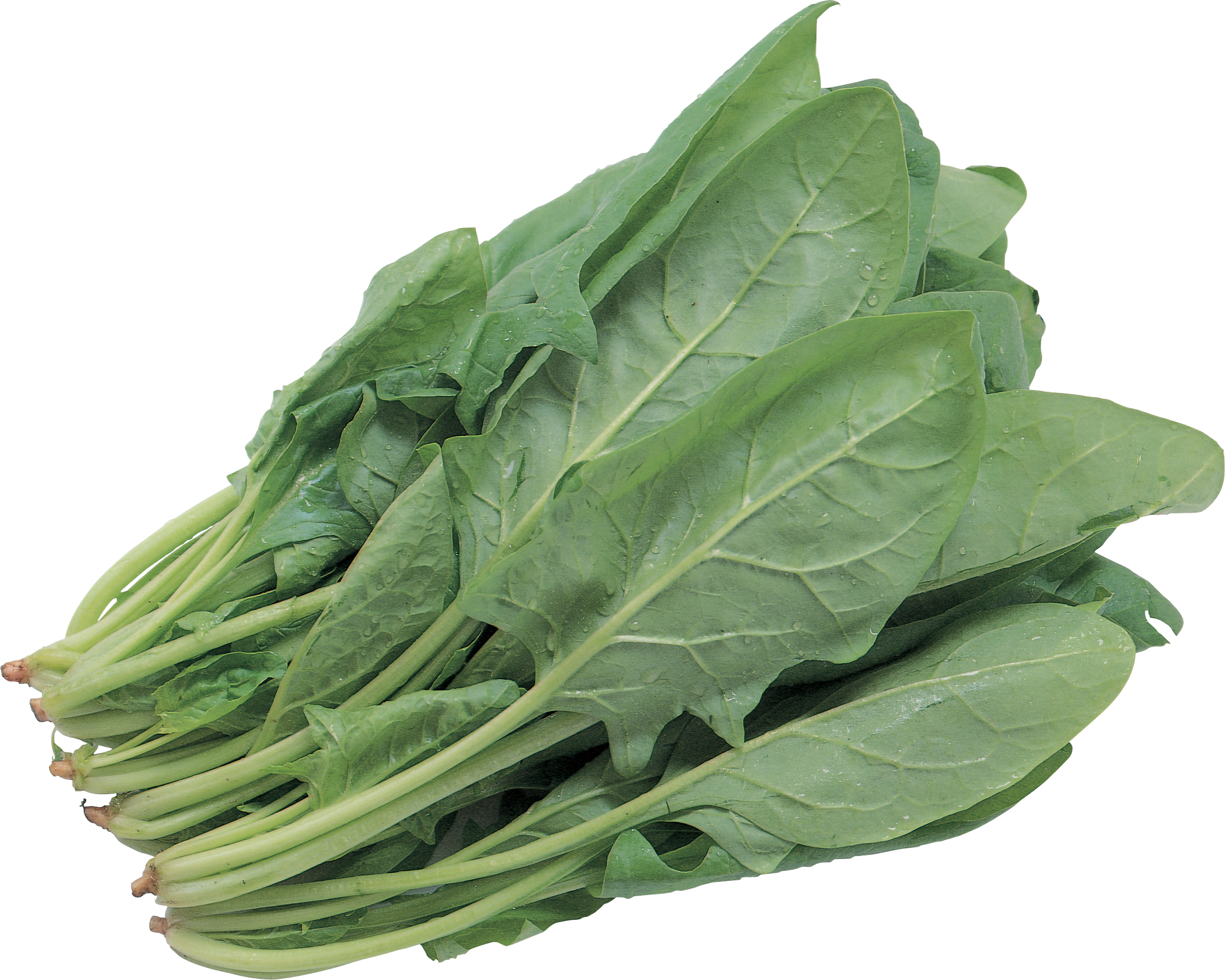 Clipart vegetables leafy vegetable. Salad png image purepng