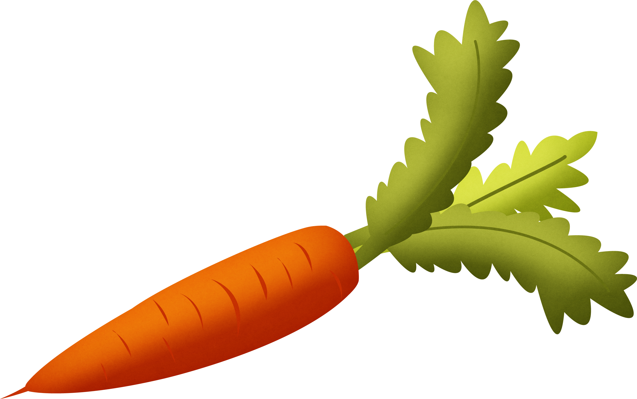 With green leaves png. Vegetables clipart carrot stick