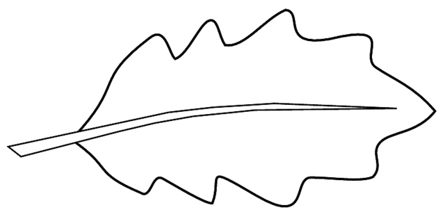 clipart leaves outline